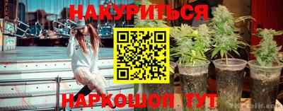 шишки Конаково