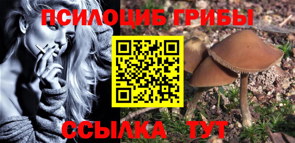 МЕФ Балашов